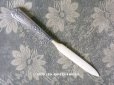 画像1: 1900年代 アンティーク シルバー製 薔薇＆リボンのガーランド ペーパーナイフ (1)