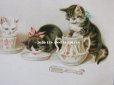 画像3: 1900年代 未使用 アンティークポストカード ミルクを飲む子猫達 (3)