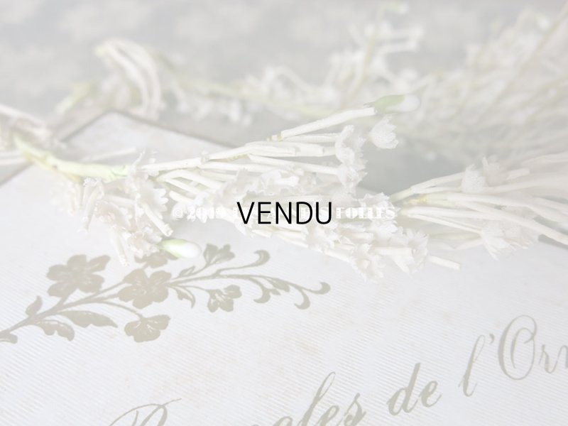 画像13: アンティーク 白い花&ワックスフラワーの花冠 ヘッドリース ウェディング 結婚式 ティアラ