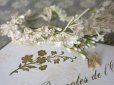 画像12: アンティーク 白い花＆ワックスフラワーの花冠 ヘッドリース ウェディング 結婚式 ティアラ