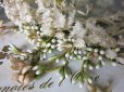 画像11: アンティーク 白い花＆ワックスフラワーの花冠 ヘッドリース ウェディング 結婚式 ティアラ