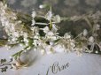 画像6: アンティーク 白い花＆ワックスフラワーの花冠 ヘッドリース ウェディング 結婚式 ティアラ