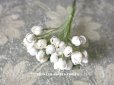 画像1: アンティーク  布花材料 白い花の蕾 27ピースのセット (1)