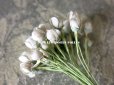 画像4: アンティーク  布花材料 白い花の蕾 27ピースのセット (4)