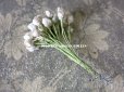 画像3: アンティーク  布花材料 白い花の蕾 27ピースのセット (3)