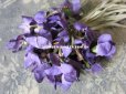 画像2: 1900年代 アンティーク 菫のブーケの布花 コサージュ  (2)