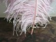 画像6: アンティーク 大きなフェザー ライラック & パウダーピンク 羽飾り オリジナルのラベル付き