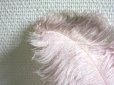 画像4: アンティーク 大きなフェザー ライラック & パウダーピンク 羽飾り オリジナルのラベル付き