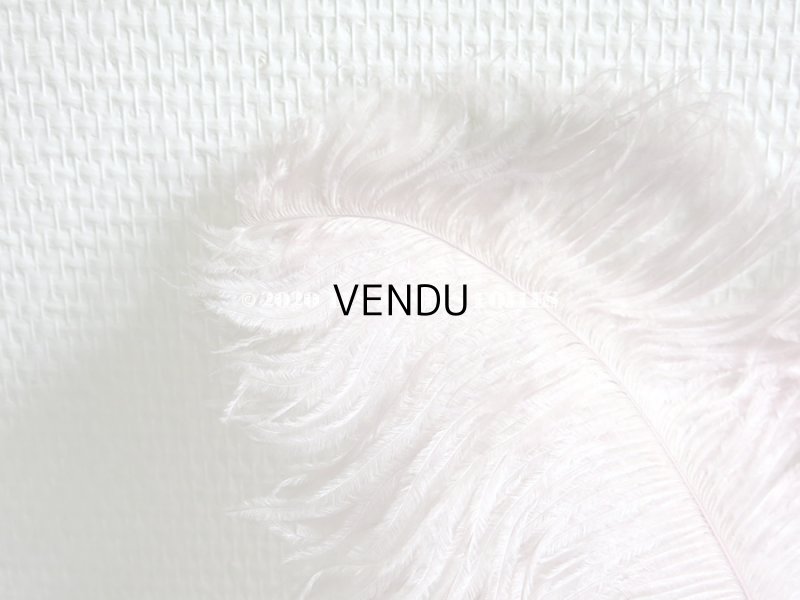 画像4: アンティーク 大きなフェザー ライラック & パウダーピンク 羽飾り オリジナルのラベル付き