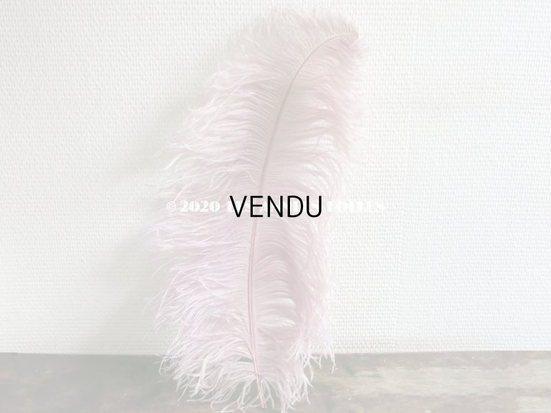 画像3: アンティーク 大きなフェザー ライラック & パウダーピンク 羽飾り オリジナルのラベル付き