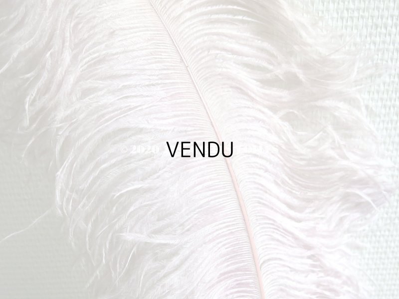 画像5: アンティーク 大きなフェザー ライラック & パウダーピンク 羽飾り オリジナルのラベル付き