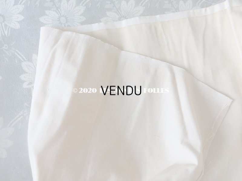 画像9: 1900年代 アンティーク ファブリック シルク製 ベルベット 