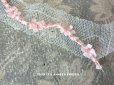 画像1: 未使用 1900年代 アンティーク シルク製 淡いピンクのロココトリム プチポワン付 ロココリボン 13.5cm (1)