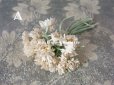 画像2: 1900年代 アンティーク デイジーの布花 小さなブーケ コサージュ  (2)