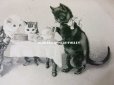 画像3: 1902年 アンティークポストカード 猫の親子のティータイム (3)