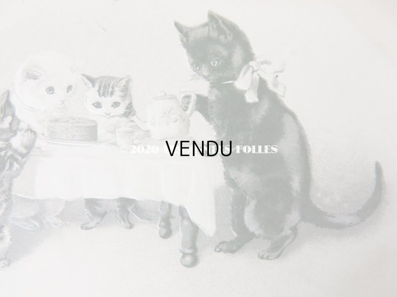 画像3: 1902年 アンティークポストカード 猫の親子のティータイム