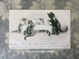画像1: 1902年 アンティークポストカード 猫の親子のティータイム (1)