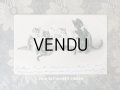1902年 アンティークポストカード 猫の親子のティータイム
