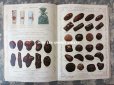 画像8: 1912年 アンティーク 【マルキーズ・ ドゥ・セヴィニエ】 のカタログ A LA MARQUISE DE SEVIGNE CHOCOLAT DE ROYAL