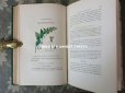 画像15: 1865年  【 デモワゼルのための植物学概論 】 L'HERBIER DES DEMOISELLES TRAITÉ COMPLET DE LA BOTANIQUE