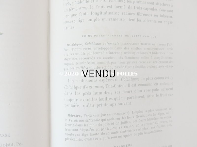 画像20: 1865年  【 デモワゼルのための植物学概論 】 L'HERBIER DES DEMOISELLES TRAITÉ COMPLET DE LA BOTANIQUE