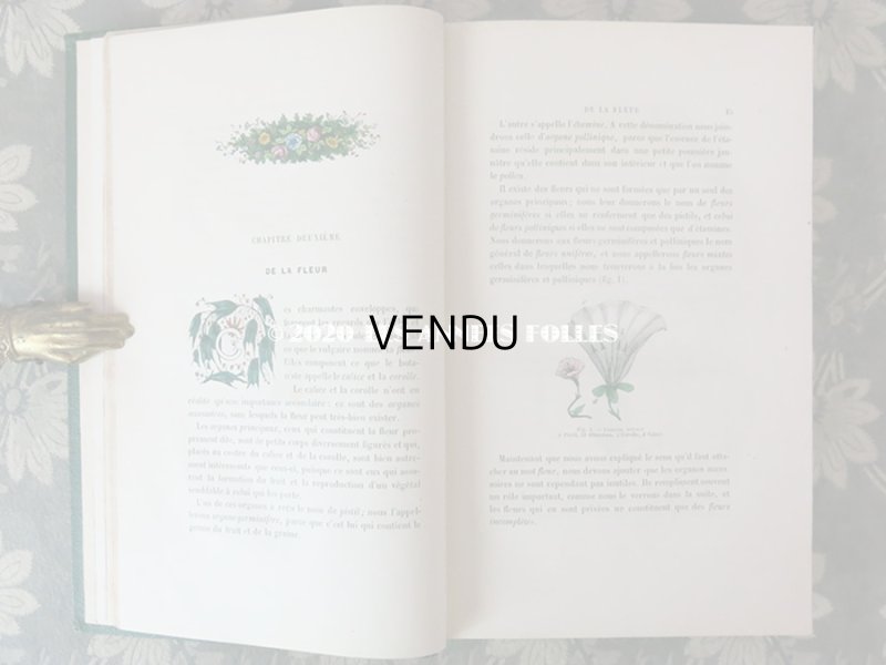 画像8: 1865年  【 デモワゼルのための植物学概論 】 L'HERBIER DES DEMOISELLES TRAITÉ COMPLET DE LA BOTANIQUE