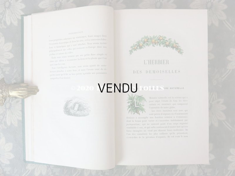 画像7: 1865年  【 デモワゼルのための植物学概論 】 L'HERBIER DES DEMOISELLES TRAITÉ COMPLET DE LA BOTANIQUE