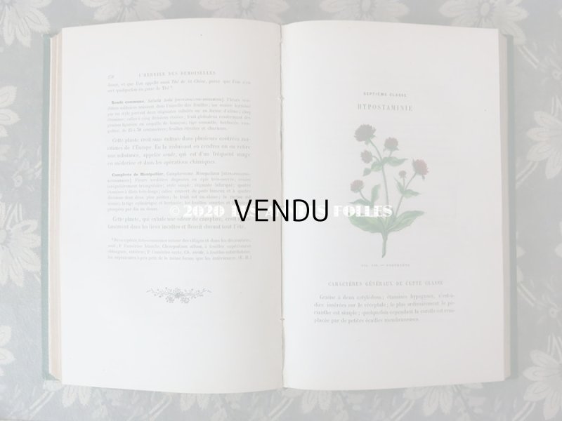 画像16: 1865年  【 デモワゼルのための植物学概論 】 L'HERBIER DES DEMOISELLES TRAITÉ COMPLET DE LA BOTANIQUE