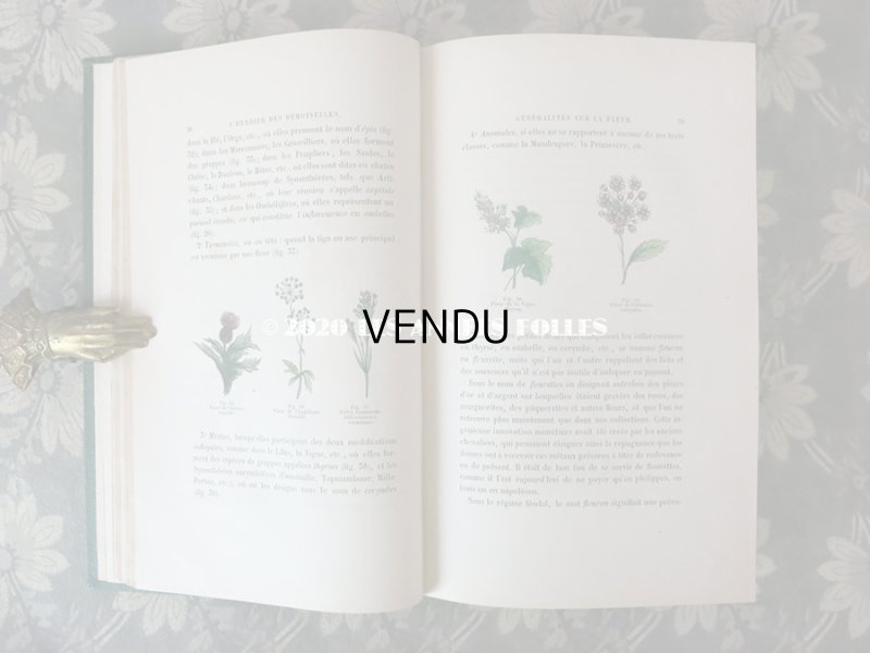 画像10: 1865年  【 デモワゼルのための植物学概論 】 L'HERBIER DES DEMOISELLES TRAITÉ COMPLET DE LA BOTANIQUE