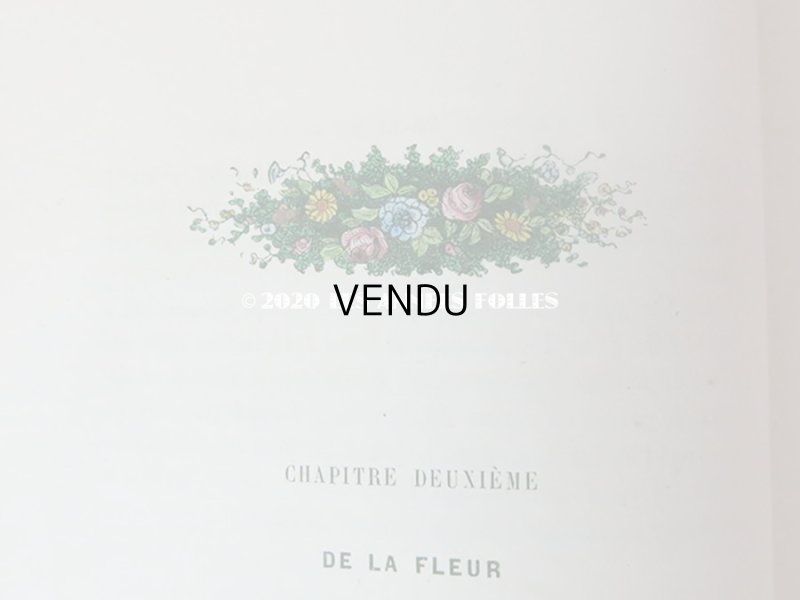 画像9: 1865年  【 デモワゼルのための植物学概論 】 L'HERBIER DES DEMOISELLES TRAITÉ COMPLET DE LA BOTANIQUE