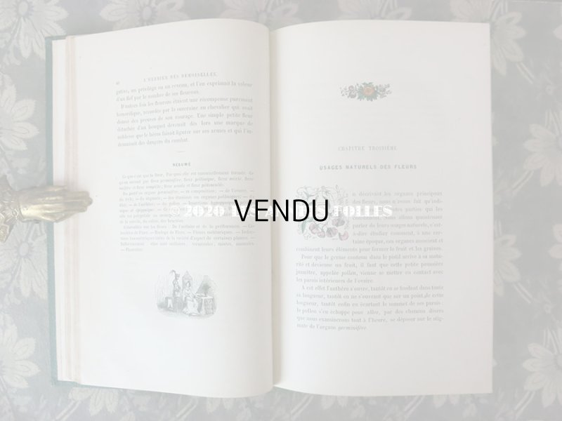 画像11: 1865年  【 デモワゼルのための植物学概論 】 L'HERBIER DES DEMOISELLES TRAITÉ COMPLET DE LA BOTANIQUE