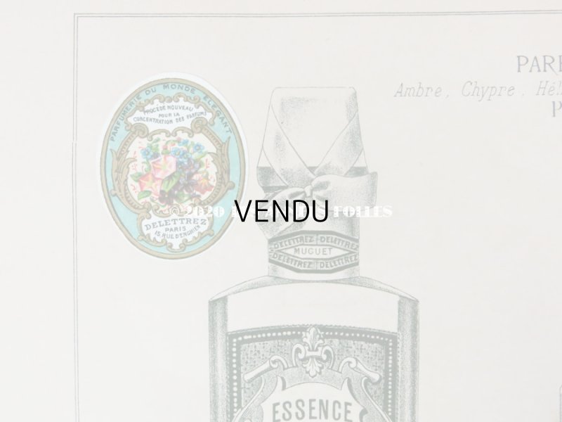 画像4: アンティーク　パフュームリーのデザイン画  PLANCHE 24 - DELETTREZ PARIS -