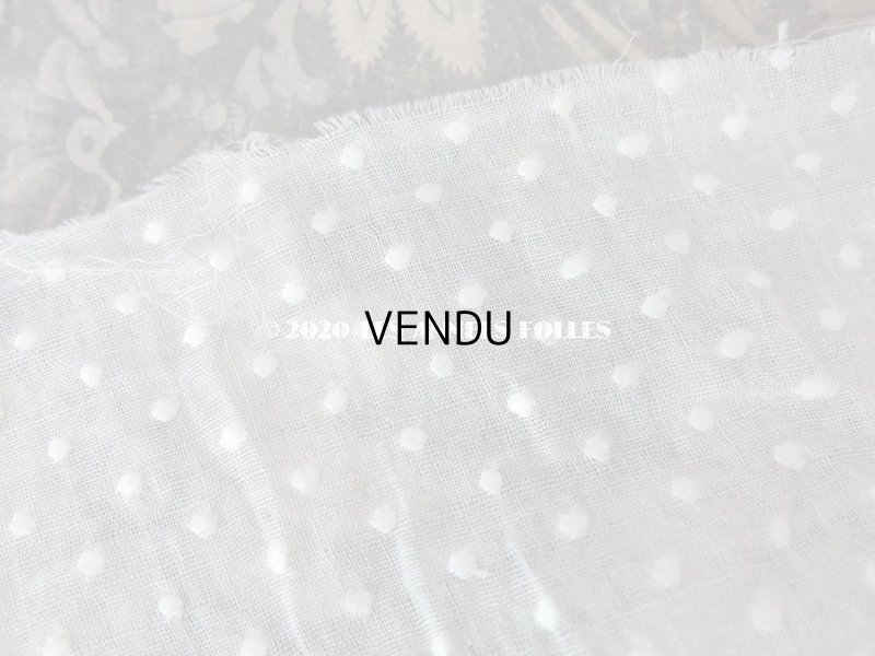 画像3: アンティーク  ドット柄の刺繍入り コットン生地 