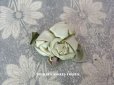 画像1: アンティーク シルク製 薔薇のロココモチーフ ピスタチオグリーン (1)