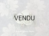 アンティーク シルク製 薔薇のロココモチーフ ピスタチオグリーン