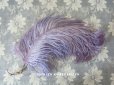 画像1: 19世紀末 アンティーク フェザー 薄紫 ラベンダー 羽飾り  (1)
