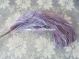 画像4: 19世紀末 アンティーク フェザー 薄紫 ラベンダー 羽飾り  (4)