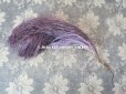 画像2: 19世紀末 アンティーク フェザー 薄紫 ラベンダー 羽飾り  (2)