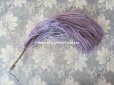 画像3: 19世紀末 アンティーク フェザー 薄紫 ラベンダー 羽飾り  (3)