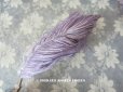 画像1: 19世紀末 アンティーク フェザー 薄紫 ラベンダー 羽飾り  (1)