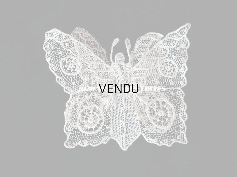画像7: 未使用 19世紀末 アンティーク ニードルレース ポワンドガーズ 蝶々のモチーフ 『ポワン・ド・ガーズ』