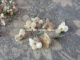 画像2: アンティーク 布花材料 小さな花びらのセット 淡いグレーベージュ 茎付き (2)