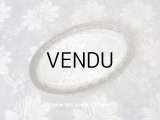 1900年代 アンティーク 小さなトレイ　オールドローズ色 薔薇のロココトリム＆レースの装飾 小物入れ