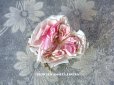 画像1: アンティーク 淡いピンクの薔薇の布花 コサージュ  (1)
