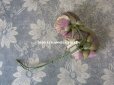 画像9: 未使用 ラベル付き アンティーク シルク製 薔薇の布花 カップ咲き コサージュ