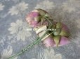 画像7: 未使用 ラベル付き アンティーク シルク製 薔薇の布花 カップ咲き コサージュ