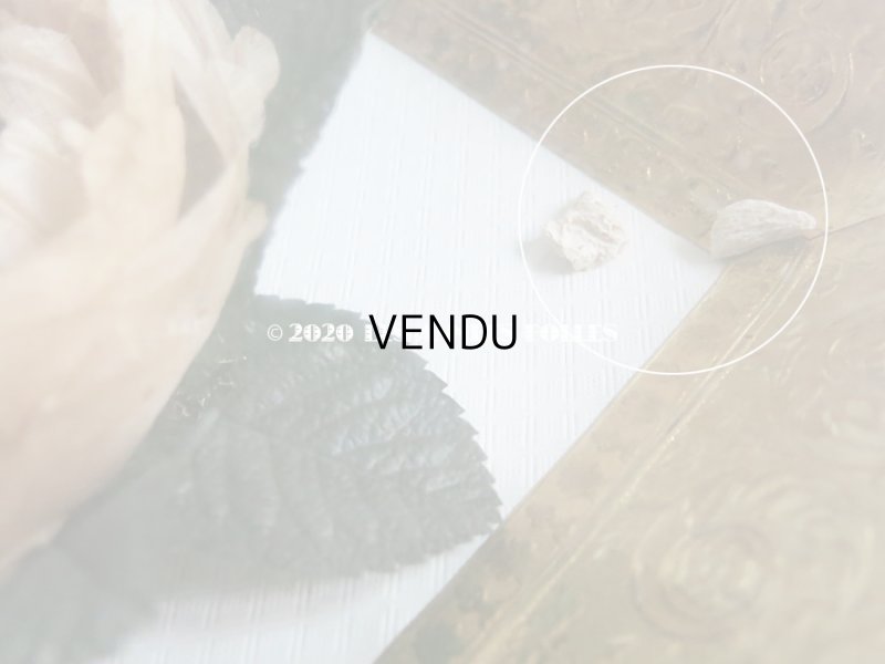 画像11: 【クリスマスセール2020対象外】 1825年 アンティーク ルリケール 薔薇 聖人の遺品