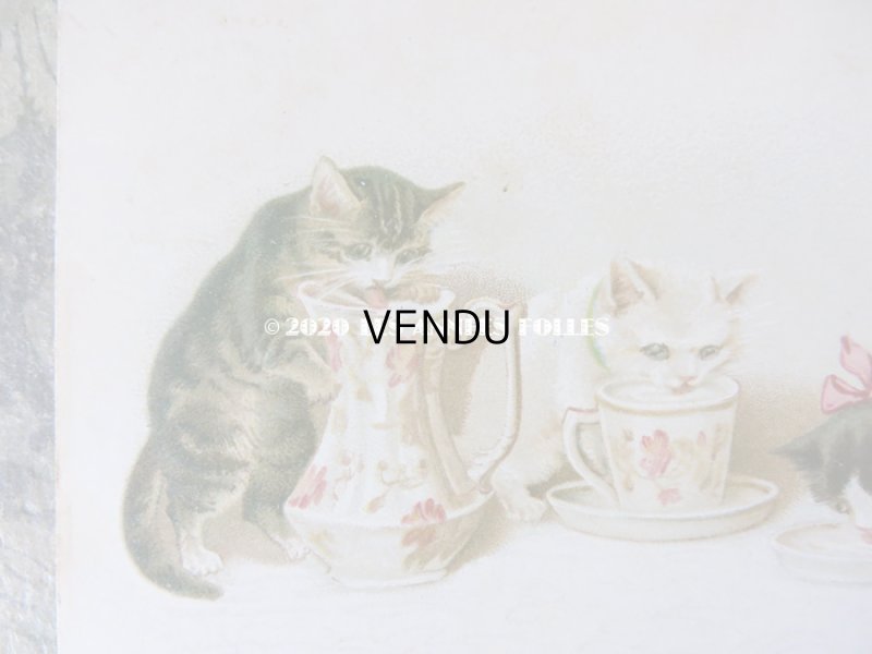 画像2: 1900年代 アンティークポストカード ミルクを飲む子猫達