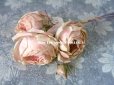 画像4: 未使用 ラベル付き アンティーク 薔薇の布花 淡いピンク カップ咲き コサージュ