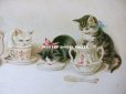 画像3: 1900年代 アンティークポストカード ミルクを飲む子猫達 (3)